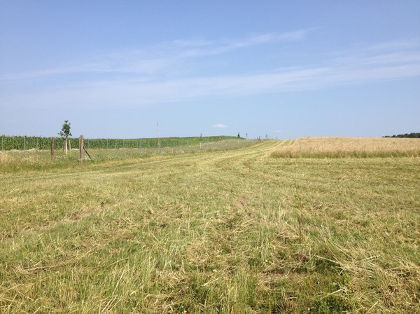 heu 13 schwarzweg mulchen